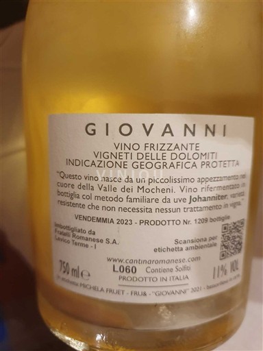 Trentin-Haut-Adige Vigneti delle Dolomiti Cantina Romanese Johanniter 2023