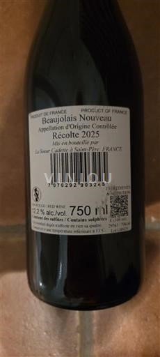 Beaujolais Beaujolais Nouveau La Soeur cadette a saint-pere 2025