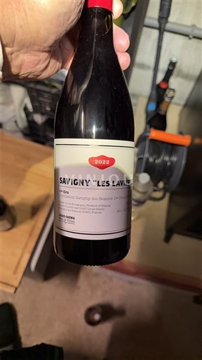 Bourgogne Savigny-lès-Beaune Premier Cru Savigny Les Lavières 2022