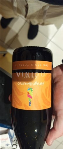 Valle del Loira Chinon Les Trois Territoires Angeliumne 2022