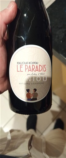 Beaujolais Beaujolais Nouveau Artisans Vignerons Le Paradis 2025