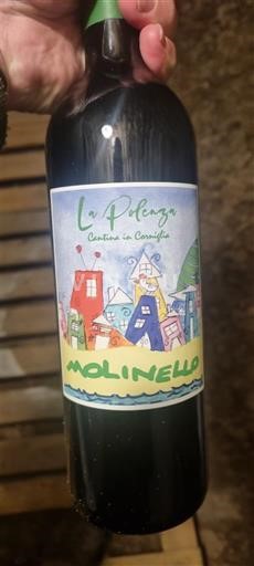 Toscana Chianti La Pienza Molinello Ei vuosikertaa