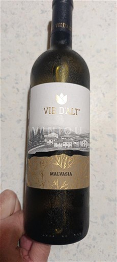 Friuli-Venezia Giulia Colli Orientali del Friuli Vie d'Alt Malvasia 2024