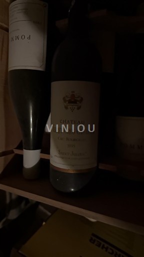 Bordeaux Saint-Julien Grand Cru Château Gruaud Larose 1995