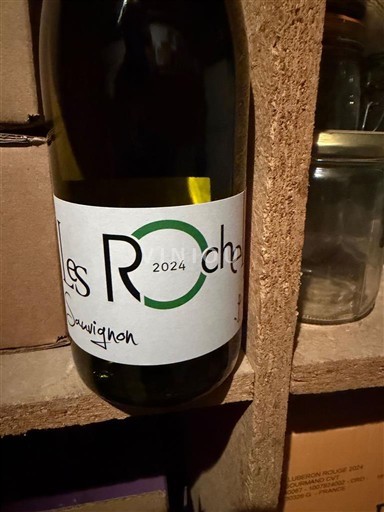Loire Valley Domaine S Rochelles Lebreton Sauvignon 2024