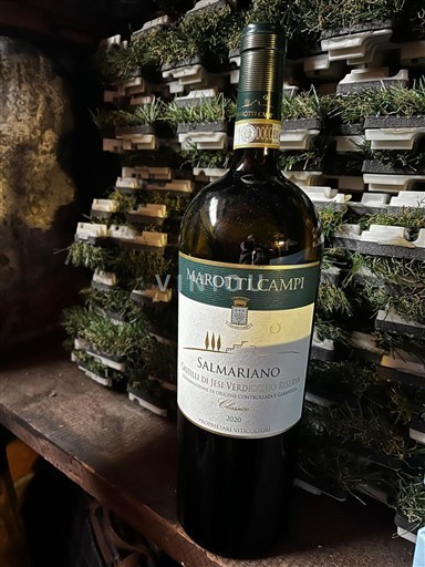 Marche Castelli di Jesi Verdicchio Riserva Marotti Campi Salmariano 2020