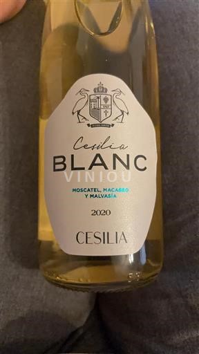 Valencian Community Valencia Cecilia Blanc 2020