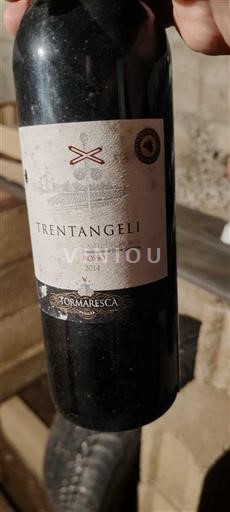Apulia Wines Castel del Monte Tormaresca Trentangeli 2019