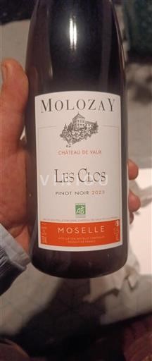 Lorena Mosela Château Vaux Les Clos 2023