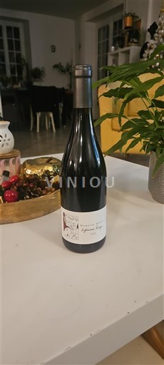 Rhône-dalen Ventoux Domaine Allois Infiniment Rouge 2022