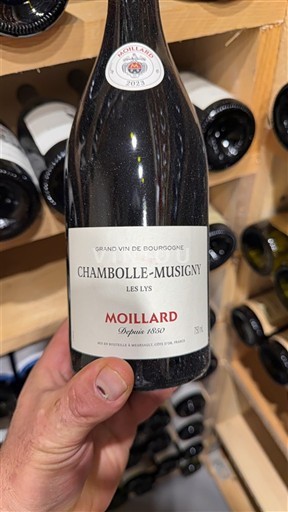 Bourgogne Chambolle-Musigny Moillard Les Lys 2023