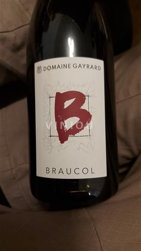 Sudoeste Gaillac Domaine Gayrard B Braucol Sin añada