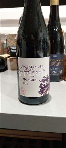 Beaujolais Morgon Domaine Des Chaffangeons 2023
