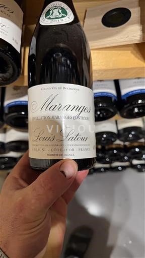 Burgundsko Maranges Louis Latour 2019