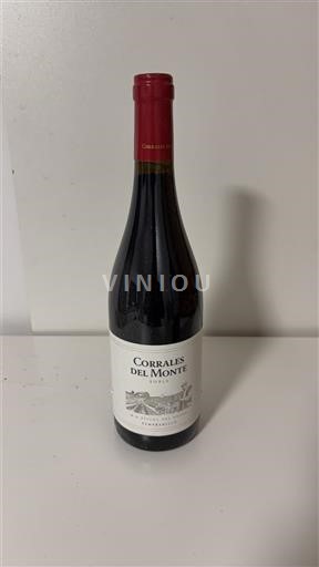 Kastilie - La Mancha Nespecifikováno Corrales del Monte 2020