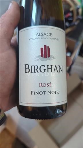 Alsacia Birghan 2024