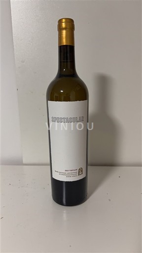 Zuidkust van de Kaap Elgin Boekenhoutskloof Spectacular 2025