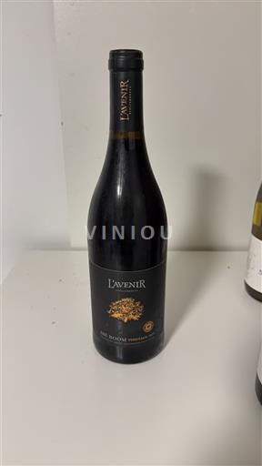 Rannikkoalue Stellenbosch L'Avenir Die Boom Pinotage 2021