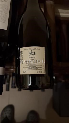 Baden Ni doloceno Britzinger Neleten.