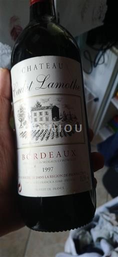 Burdeos Bordeaux Château Cadet Lamothe 1997