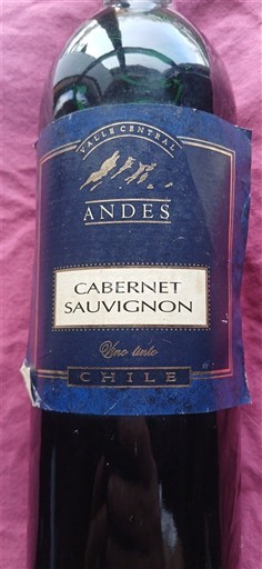 Dolina Maipo Osrednji Maipo Andes Neleten.