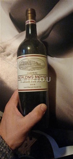 Bordeaux Saint-Émilion Grand Cru Grand Cru Château Troplong Mondot 2016