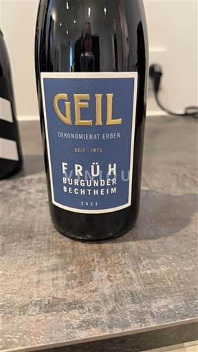 Renania. Rheinhessen Geil Frühburgunder Bechtheim 2022