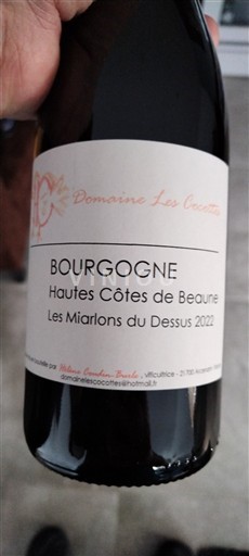 Burgundi Beaunen Ylämaat Domaine Les Cocottes Les Marlons du Dessus 2022