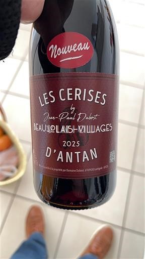 Beaujolais Beaujolais Villages Jean-Paul Dubost Les Cerises d'Antan 2025