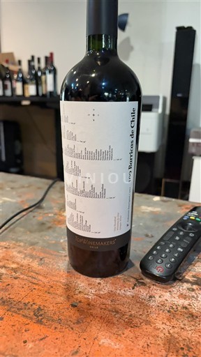 Maule Valley Unspecified Top Winemakers 100 barricas dr chile 2011