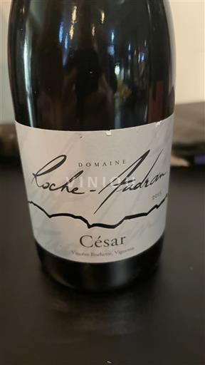 Rhônen laakso Côtes-du-rhône Domaine Roche-Audran César 2015