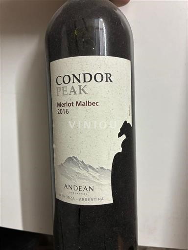 Mendoza Condor Peak 2016