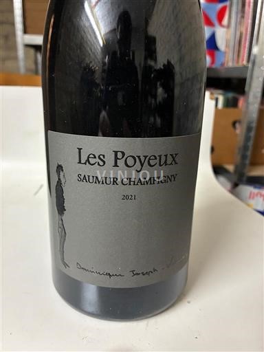Vale do Loire Saumur-champigny Domaine S Roches Neuves Les Poyeux 2021