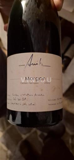 Vini Rouge sec Château-Gaillard Domaine Anita 2020 Francia Beaujolais Morgon AOC