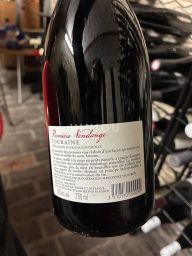 Dolina Loare Touraine Jean-Sébastien Marionnet Première Vendange Neleten.