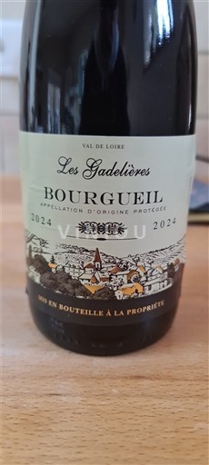Thung lũng sông Loire Bourgueil Les Gadelières 2024