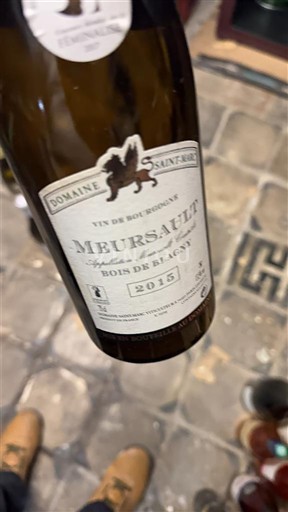 Borgogna Meursault Domaine Saintry Bois de Blagny 2015