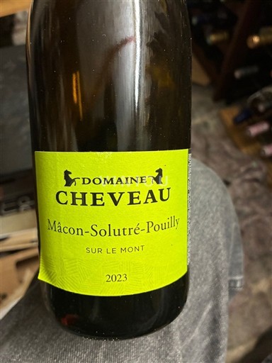 Bourgondië Mâcon en mâcon-dorpen Domaine Cheveau Sur le Mont 2023