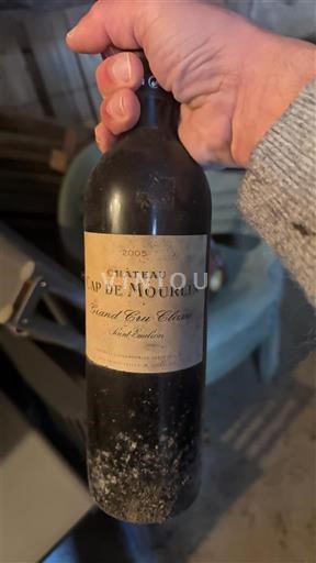 Bordeaux Saint-Émilion Grand Cru Château Cap de Moulin 2006