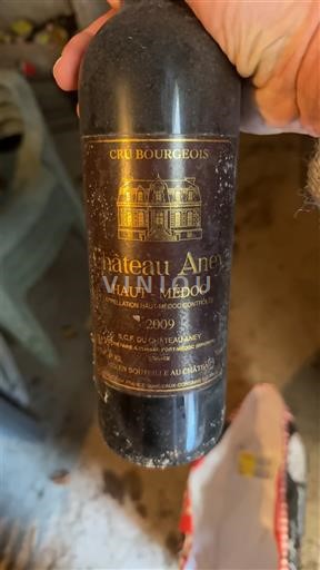 Bordeaux Haut-Médoc Cru Bourgeois Château Aney 2009