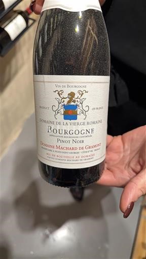 Bourgondië Bourgogne Domaine La Vierge Romaine 2022