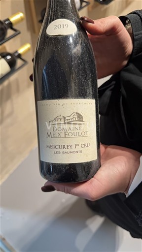 Bourgondië Mercurey Premier Cru Domaine Meix Foulot Les Saugeots 2019