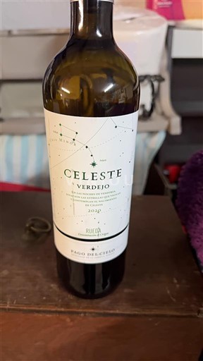 Castilië en León Rueda Pago del Cielo Celeste Verdejo 2022