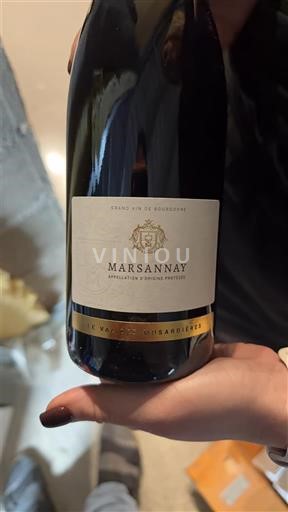 Burgundi Marsannay Le Valois Dissardière 2023