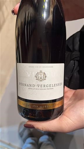 Burgundi Pernand-vergelesses Le Val des Muscardes 2023