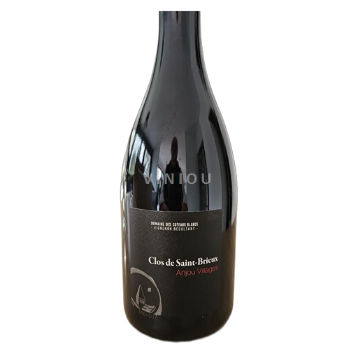 Vale do Loire Anjou Villages Domaine S Coteaux Blancs Clos de St Brieux 2022
