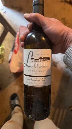 Languedoc và Roussillon Côtes de Thau Domaine Les Charmettes Chardonnay 2022