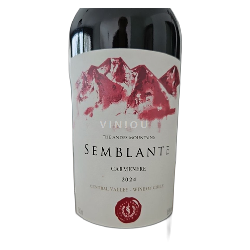 Maipo-Tal Maipo Central Semblante 2024