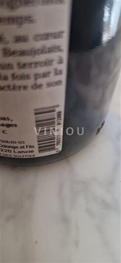 Beaujolais Descombes et Fils 2023