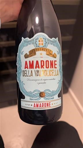 Benecija Amarone della Valpolicella Tesemondo 2019